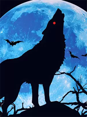 等风拥抱你许家