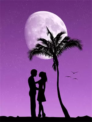 顶流皇帝直播选妃