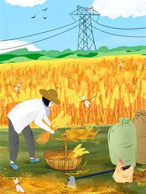 我的冤种保姆传全集